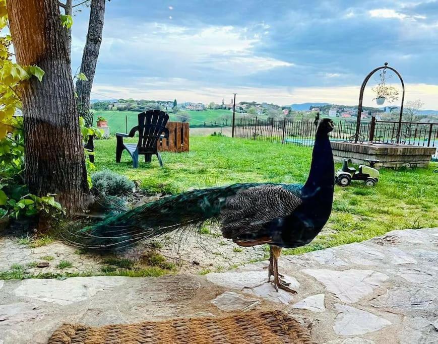 La Piccola Fattoria Nella Campagna Umbra Apartment Badiola (Perugia)